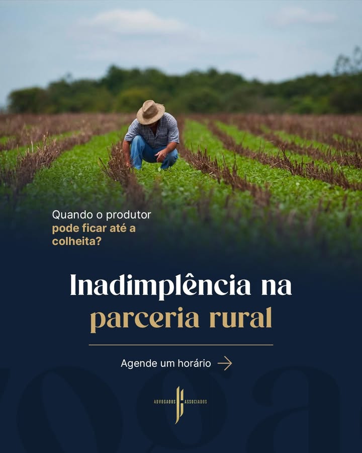 Inadimplência na parceria rural: quando o produtor pode ficar até a colheita?
